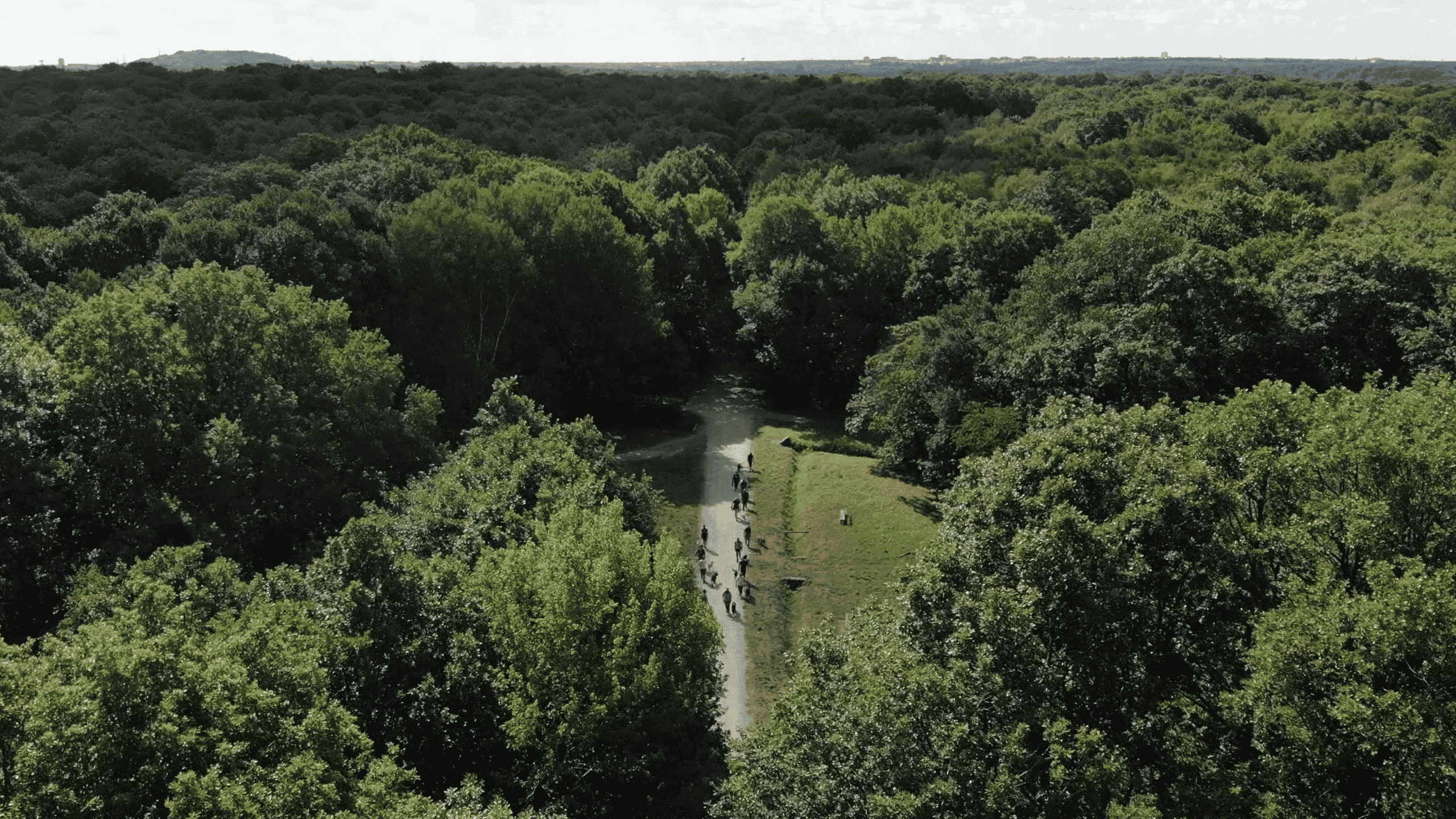 Forêt Départementale de Sainte-Apolline