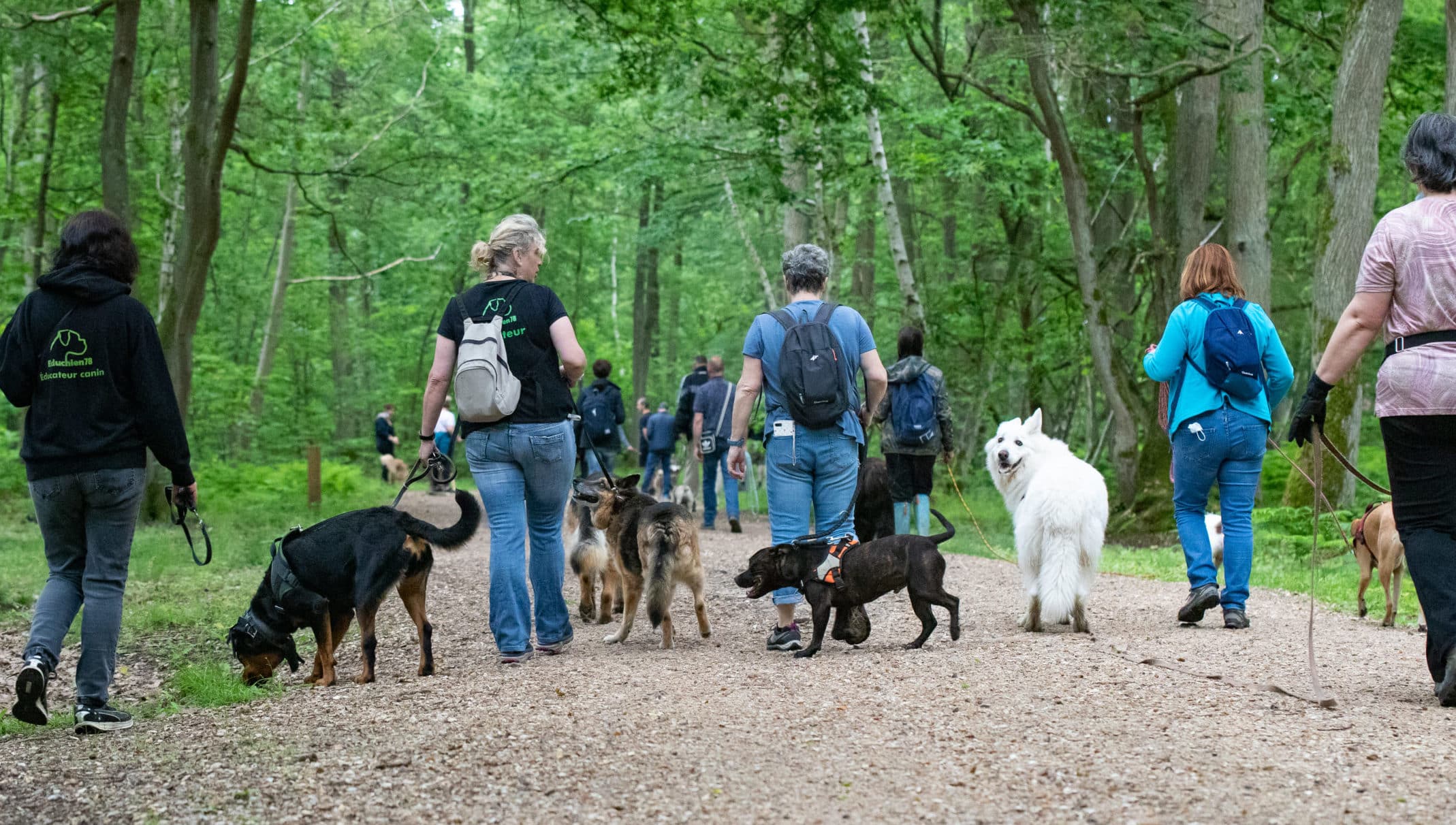 Stage clicker educhien78 education canine educateur canin dressage dresseur yvelines stage et formation canines chien chiot agility