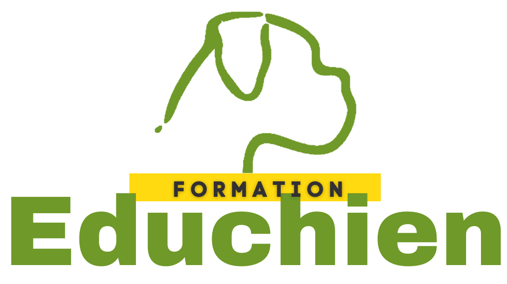 Educhien formation stage canin educhien78 yvelines 78 île de france formation canine chien chiot Agility Comportement du chien stage educateur canin Alexis bonnarang https://formation-educhien.com/collections/stages