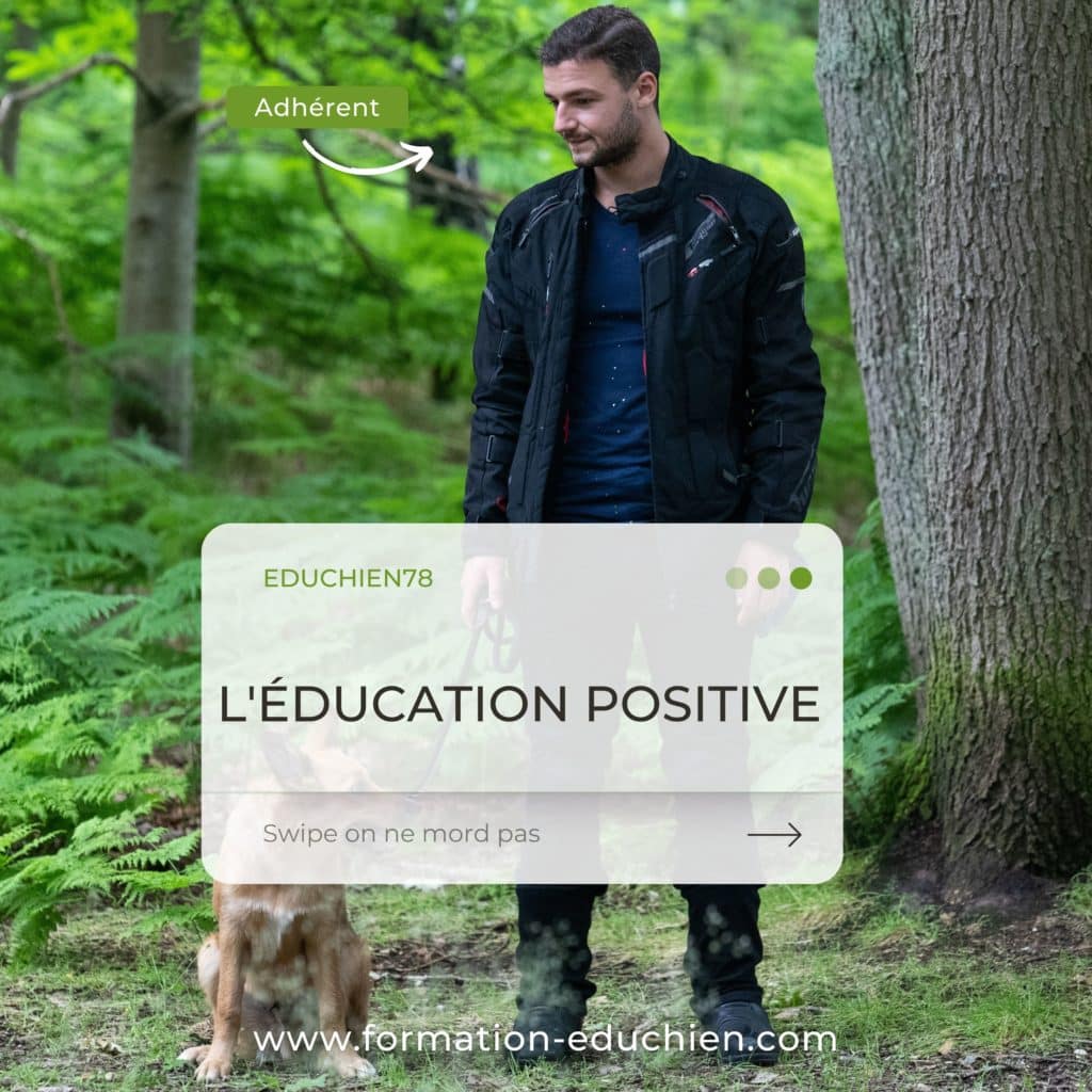 education positive méthodes avantages et inconvénients EDUCHIEN78 entreprise leader de l'éducation canine dans les Yvelines Dressage dresseur 78 île-de-france