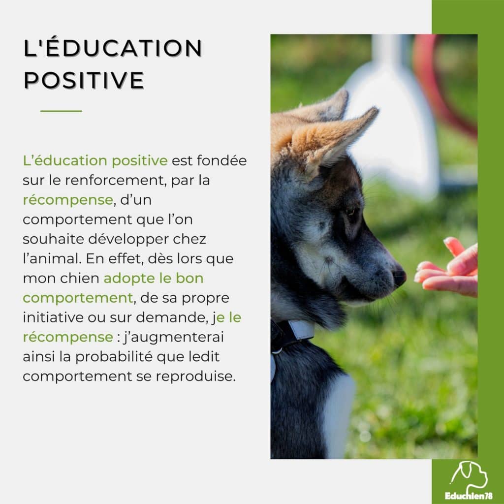 Education positive Alexis bonnarang Educateur canin comportementaliste Educhien78 dressage dresseur Yvelines île-de-france 