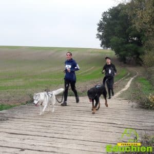 club canin Yvelines club canin de la plaine de jouars EDUCHIEN78 Alexis bonnarang évenement canin journée du chien Canicross Cani-cross sport canin dog training course chien Yvelines île de france formations et stages canins Jouars-pontchartrain education chien chiot dressage planning des formations educhien78 2021 dimanche 3 octobre 