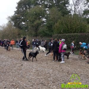 club canin Yvelines club canin de la plaine de jouars EDUCHIEN78 Alexis bonnarang évenement canin journée du chien Canicross Cani-cross sport canin dog training course chien Yvelines île de france formations et stages canins Jouars-pontchartrain education chien chiot dressage planning des formations educhien78 2021 dimanche 3 octobre 