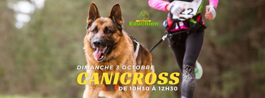 CANICROSS EDUCHIEN78 DIMANCHE 3 OCTOBRE 2021 educhien formation club canin de la plaine de jouars yvelines île de france 78 educateur canin cours collectif courses jogging chien chiot sport canin dog training comportementaliste canin dressage dresseur