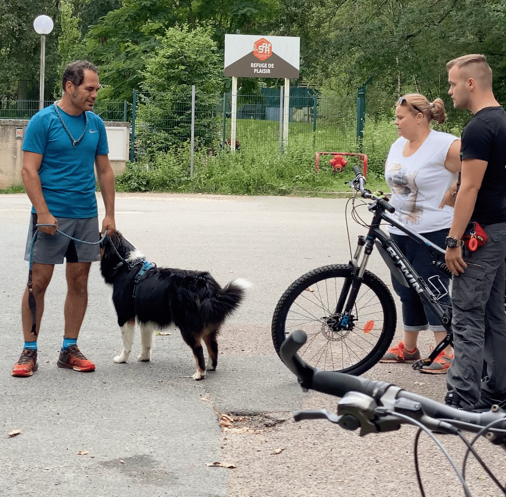 formation educateur canin educhien78 Yvelines 78 île-de-france Alexis Bonnarang educateur canin comportementaliste dressage chien réactif aux stimuli en mouvement joggeur cycliste marcheur Berger australien formation des équipes educhien78