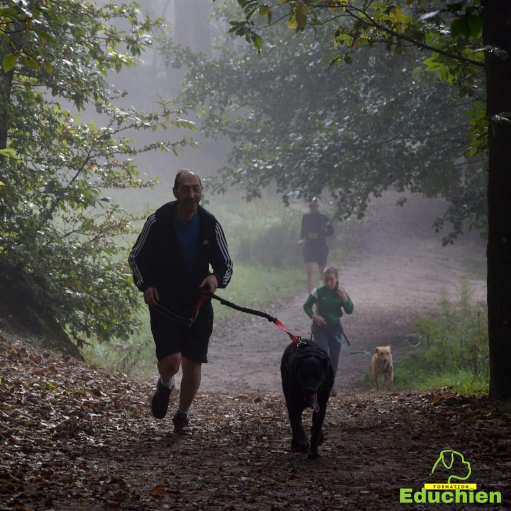 Canicross Educhien78 Education canine yvelines course canine club canin de la plaine de jouars Yvelines 78 île-de-france formation educateur canin formation chiot en ligne educhien formation comportementaliste canin dog training Alexis Bonnarang