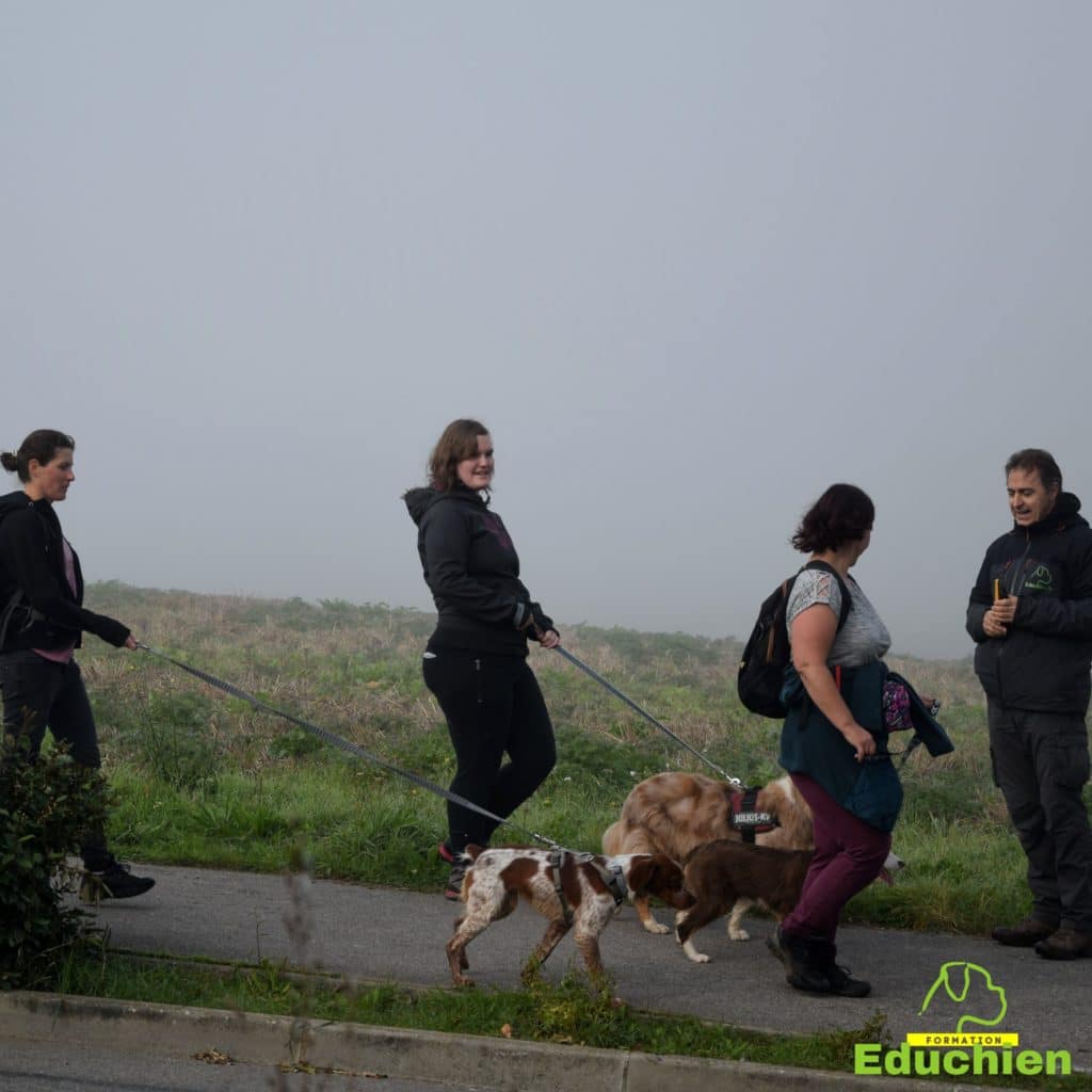 Canicross Educhien78 Education canine yvelines course canine club canin de la plaine de jouars Yvelines 78 île-de-france formation educateur canin formation chiot en ligne educhien formation comportementaliste canin dog training Alexis Bonnarang