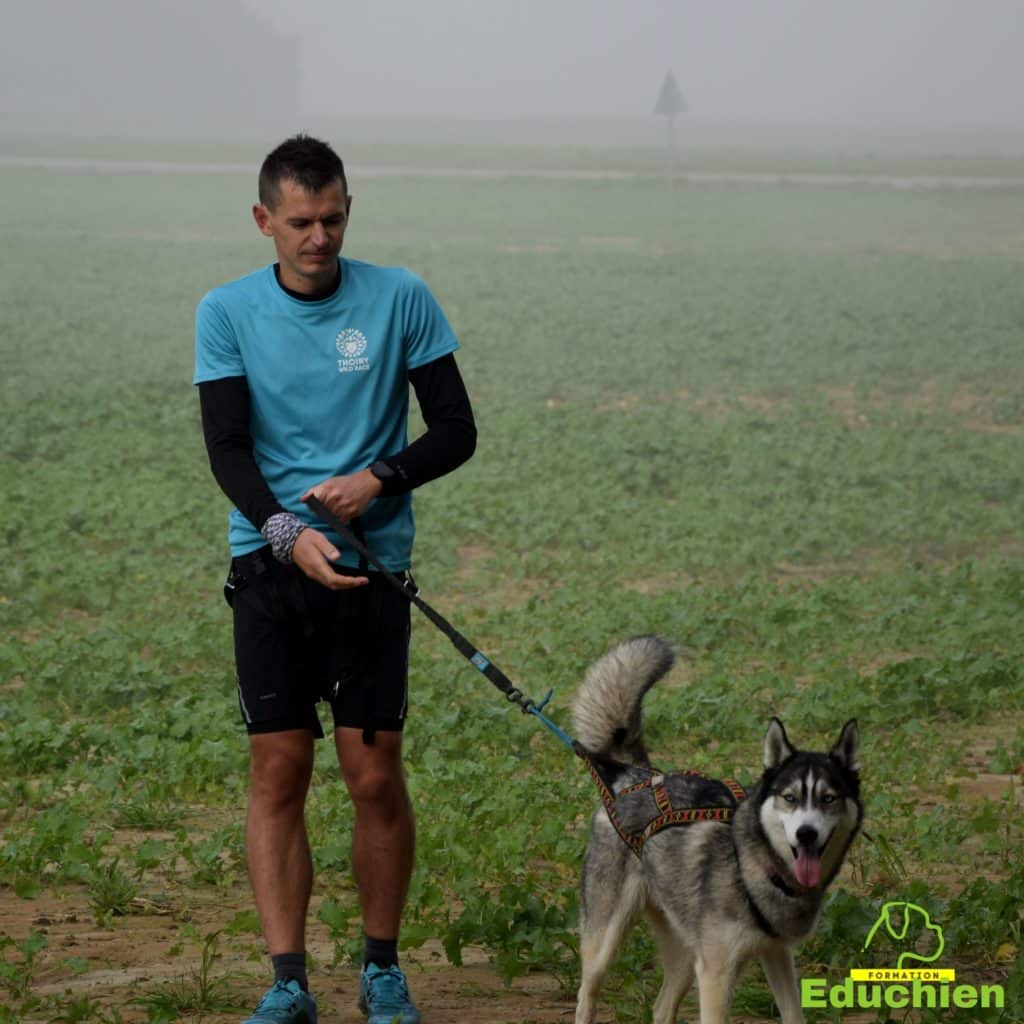 Canicross Educhien78 Education canine yvelines course canine club canin de la plaine de jouars Yvelines 78 île-de-france formation educateur canin formation chiot en ligne educhien formation comportementaliste canin dog training Alexis Bonnarang