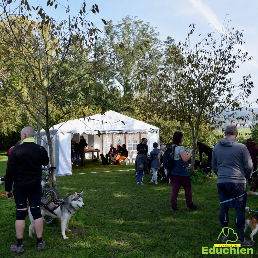 Canicross Educhien78 Education canine yvelines course canine club canin de la plaine de jouars Yvelines 78 île-de-france formation educateur canin formation chiot en ligne educhien formation comportementaliste canin dog training Alexis Bonnarang