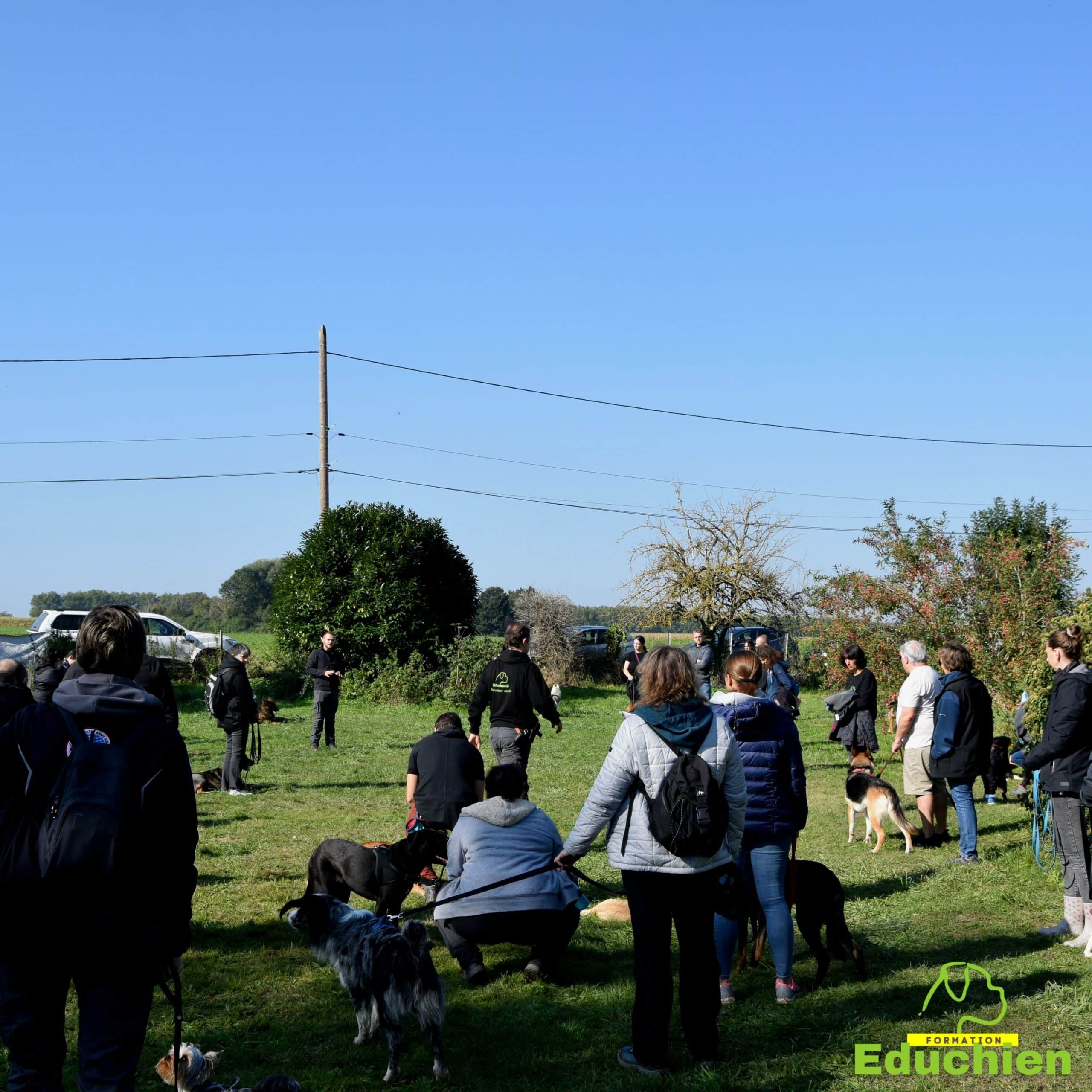 Stage intensif education canine Yvelines 78 île-de-france Alexis bonnarang Educateur canin comportementaliste Education canine Dressage chien chiot education du chiot Formation educateur canin le métier d'éducateur canin club canin de la plaine de jouars Educhien formation journée de stage et de formation canine