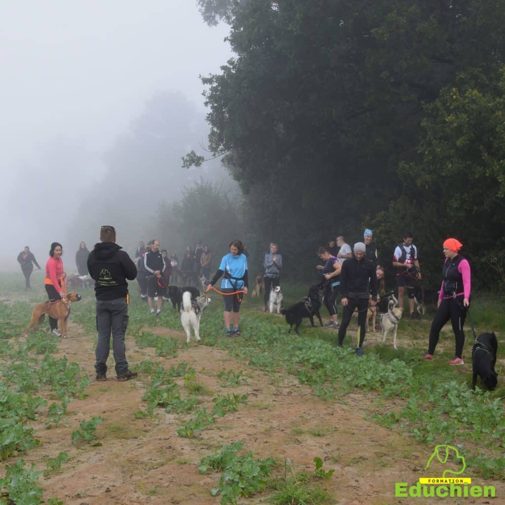 Canicross Educhien78 Education canine yvelines course canine club canin de la plaine de jouars Yvelines 78 île-de-france formation educateur canin formation chiot en ligne educhien formation comportementaliste canin dog training Alexis Bonnarang