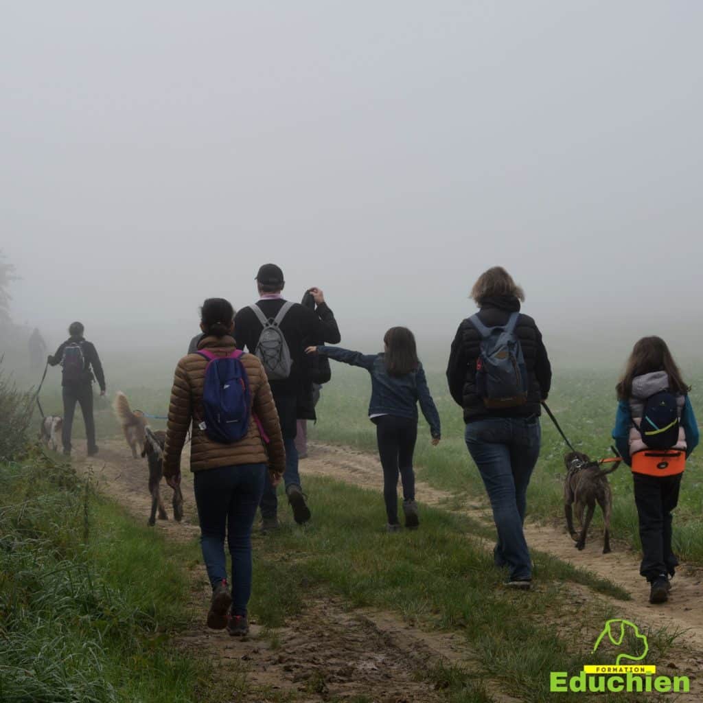 Canicross Educhien78 Education canine yvelines course canine club canin de la plaine de jouars Yvelines 78 île-de-france formation educateur canin formation chiot en ligne educhien formation comportementaliste canin dog training Alexis Bonnarang