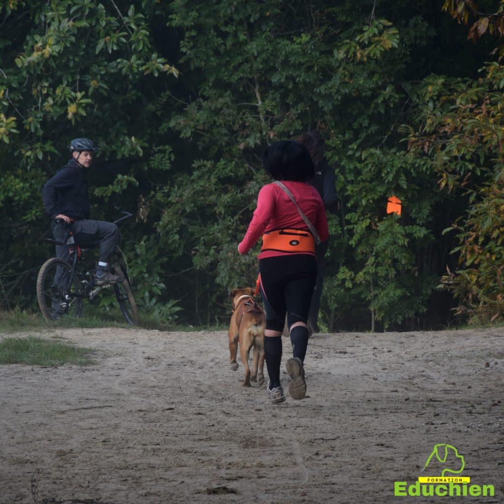 Canicross Educhien78 Education canine yvelines course canine club canin de la plaine de jouars Yvelines 78 île-de-france formation educateur canin formation chiot en ligne educhien formation comportementaliste canin dog training Alexis Bonnarang