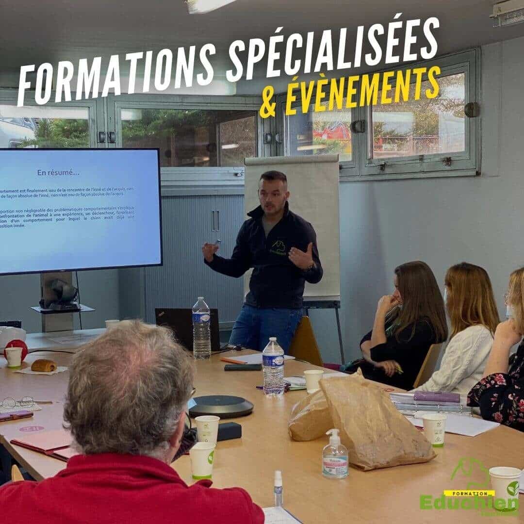 formations canines spécialisée évènement du chien Yvelines île-de-france Educhien78 Paris educhien formation Alexis bonnarang PECCRAM prévention à la morsure SPA refuges animaliers métiers à risques Facteur Livreurs Prévention dans les écoles morsures chiens