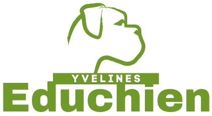 EDUCHIEN Yvelines logo entreprise Educhien78 educateur canin comportementaliste île-de-france Paris Rambouillet Plaisir Saint-germain-en-laye formation éducateur canin cours particuliers d'éducation chien chiot à domicile troubles du comportement agressivité congénères réactivité chien comportement canin