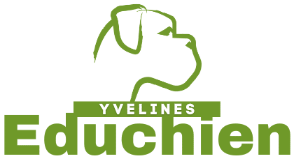 EDUCHIEN Yvelines logo entreprise Educhien78 educateur canin comportementaliste île-de-france Paris Rambouillet Plaisir Saint-germain-en-laye formation éducateur canin cours particuliers d'éducation chien chiot à domicile troubles du comportement agressivité congénères réactivité chien comportement canin