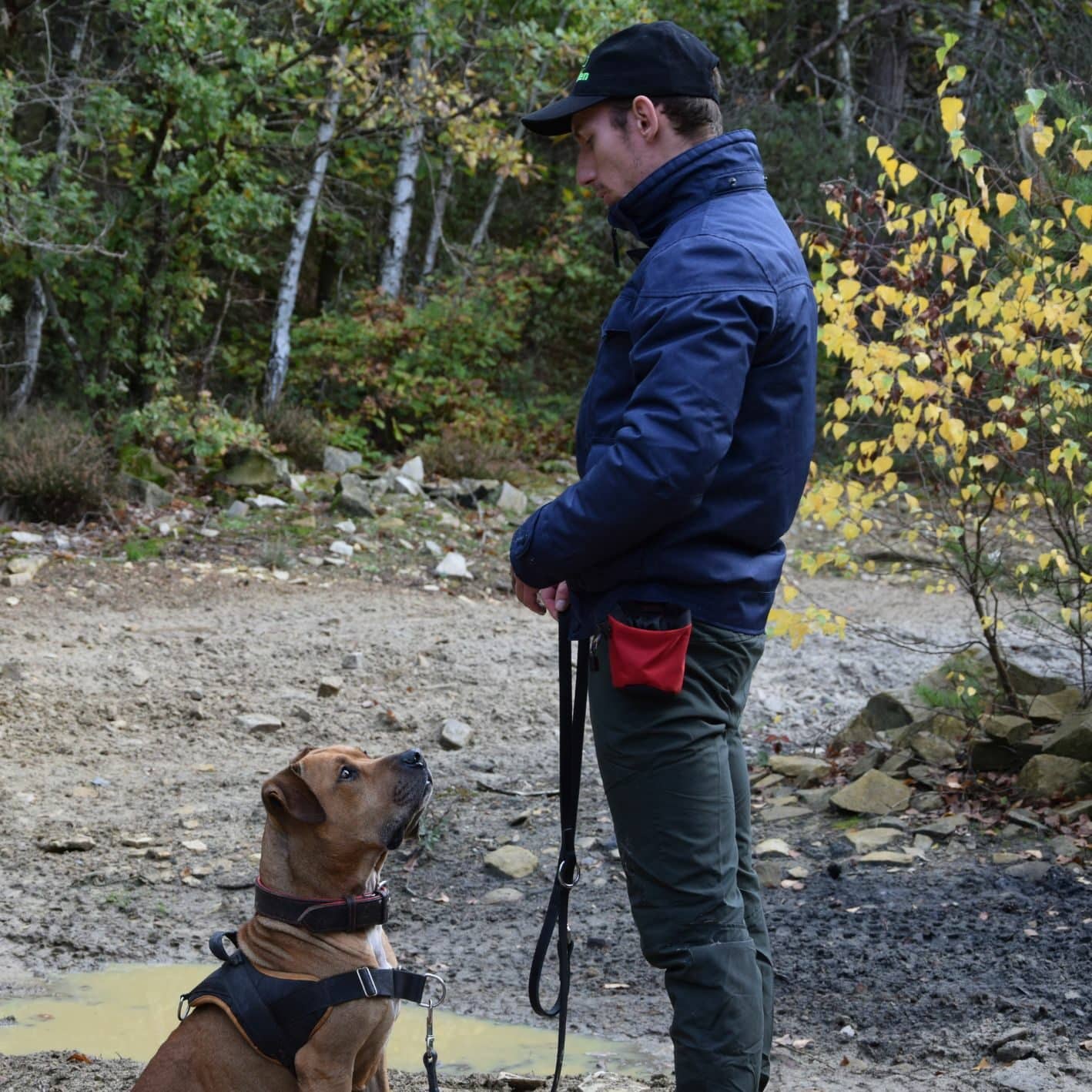 Diplome d'éducateur canin promotion de novembre 2022. Avis de Carl élève de la formation