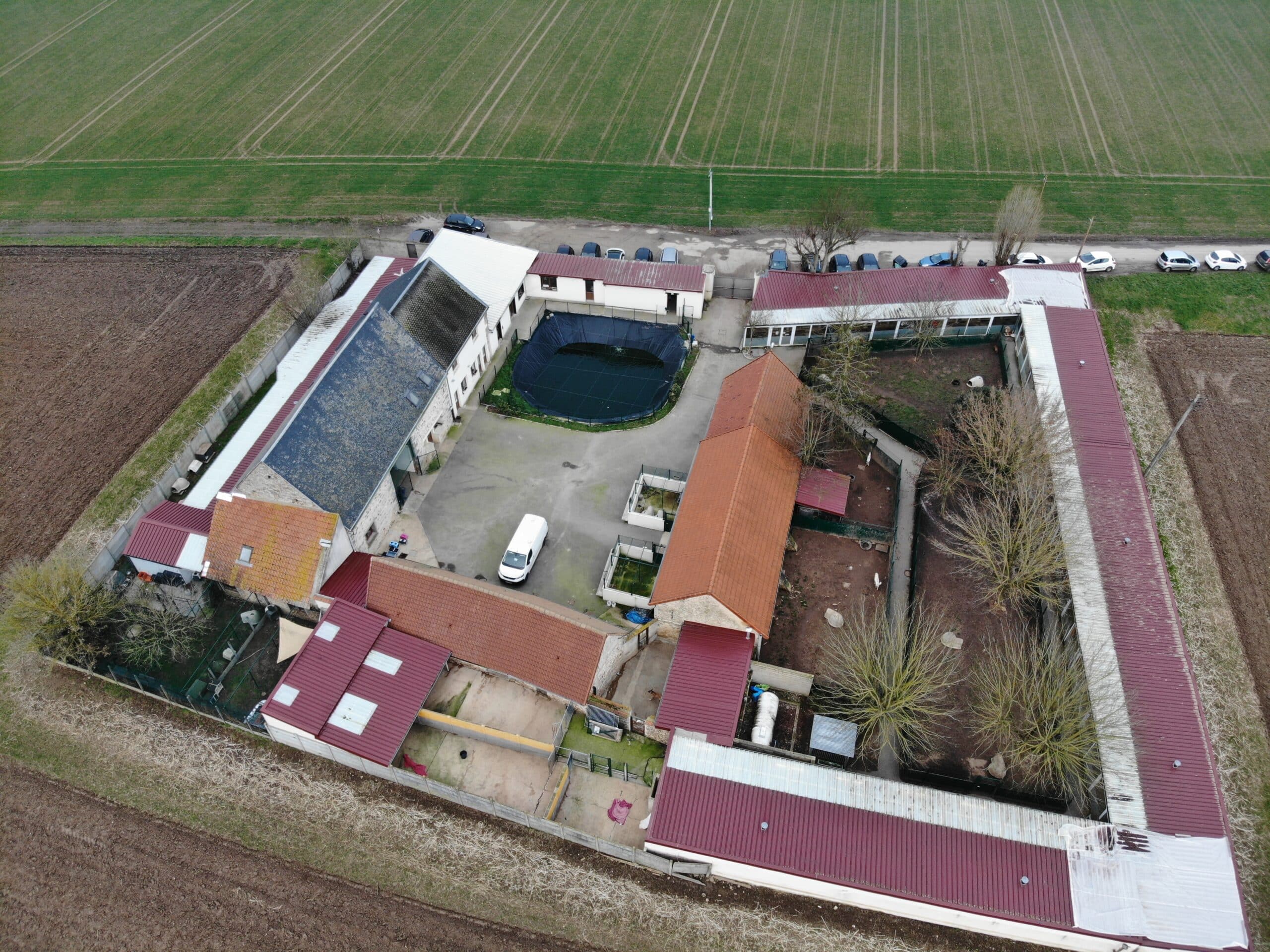 refuge spa d'hermeray formation des bénévoles et agents animaliers éducation et rééducation canine intervention éducateur canin comportementaliste Alexis bonnarang EDUCHIEN78 educhien Yvelines dans les refuges animaliers