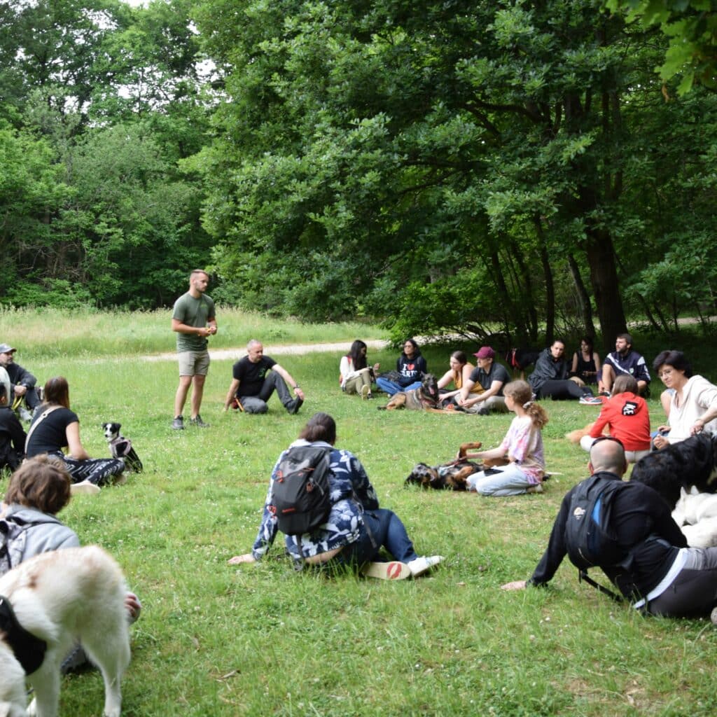 formations canines et stages canins pour les maitres de chiens et chiots . cours d'éducation. Stages format intenses. 1er semestre 2023. educhien formation leader d'éducation canine dans les Yvelines. Stage sur les troubles comportementaux et l'agressivité congénères. Stage d'éducation canine format intense pour les particuliers.