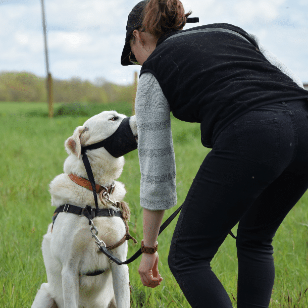 avis élève formation pro éducateur canin diplôme privé EDUCHIEN FORMATION