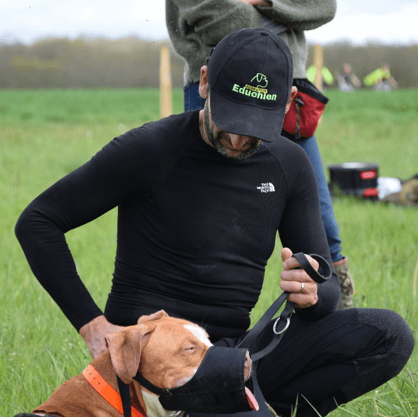 formation yvelines 78 éducateur canin comportementaliste EDUCHIEN FORMATION