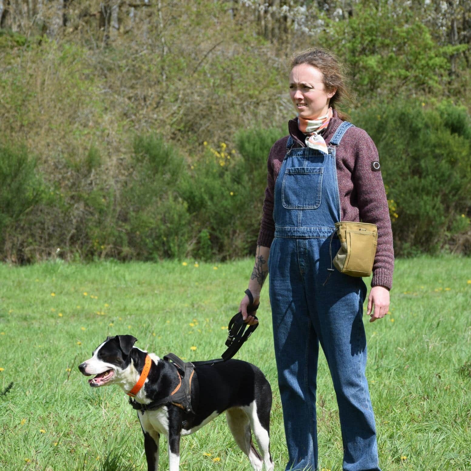 Avis élève de formation professionnelle d'éducateur canin EDUCHIEN FORMATION : Cette formation a répondu et même dépassé mes attentes. Le contenu était extrêmement riche et précis, parfaitement partagé et accompagné d'exemples concrets qui permettent de mieux se représenter les concepts. Le format d'un nombre restreint d'élèves permet des échanges fluides, un très bon esprit de promo et d'entraide qui font aussi beaucoup dans le succès de la formation