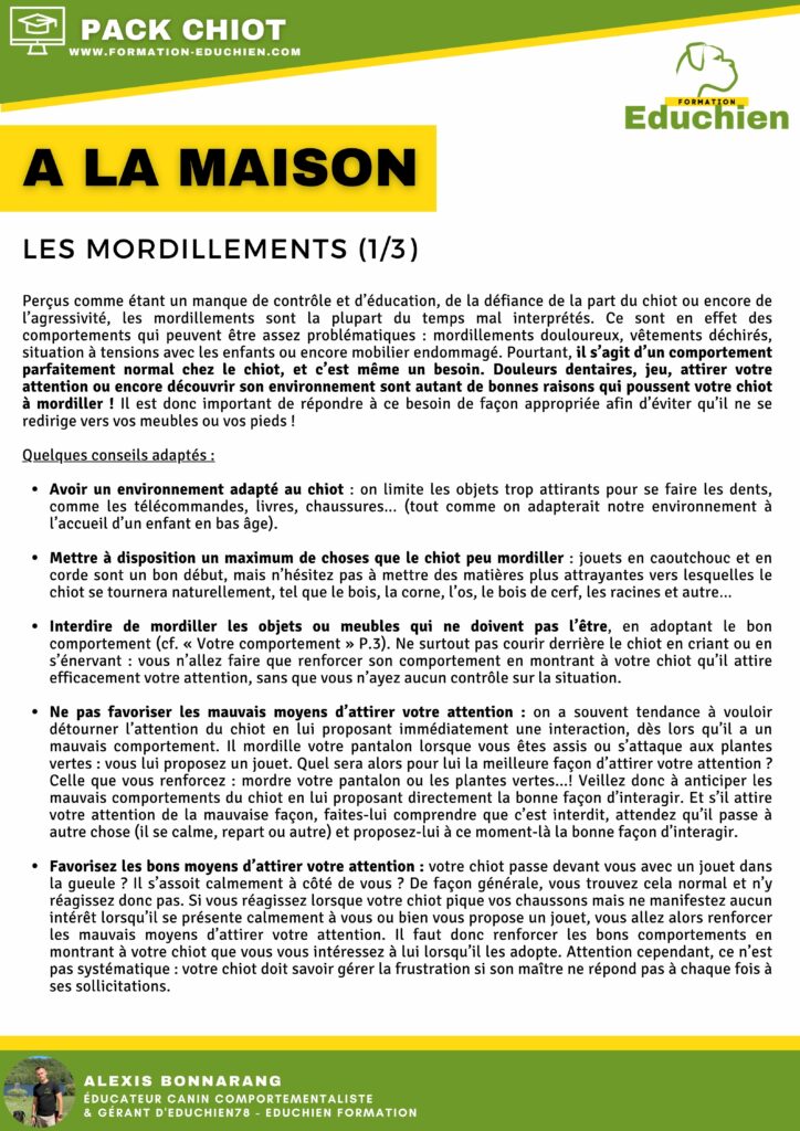fiche mémo formation en ligne spéciale chiot éduquer chez vous votre chien avec notre formation disponible sur notre site internet : www.formation-educhien.com . 