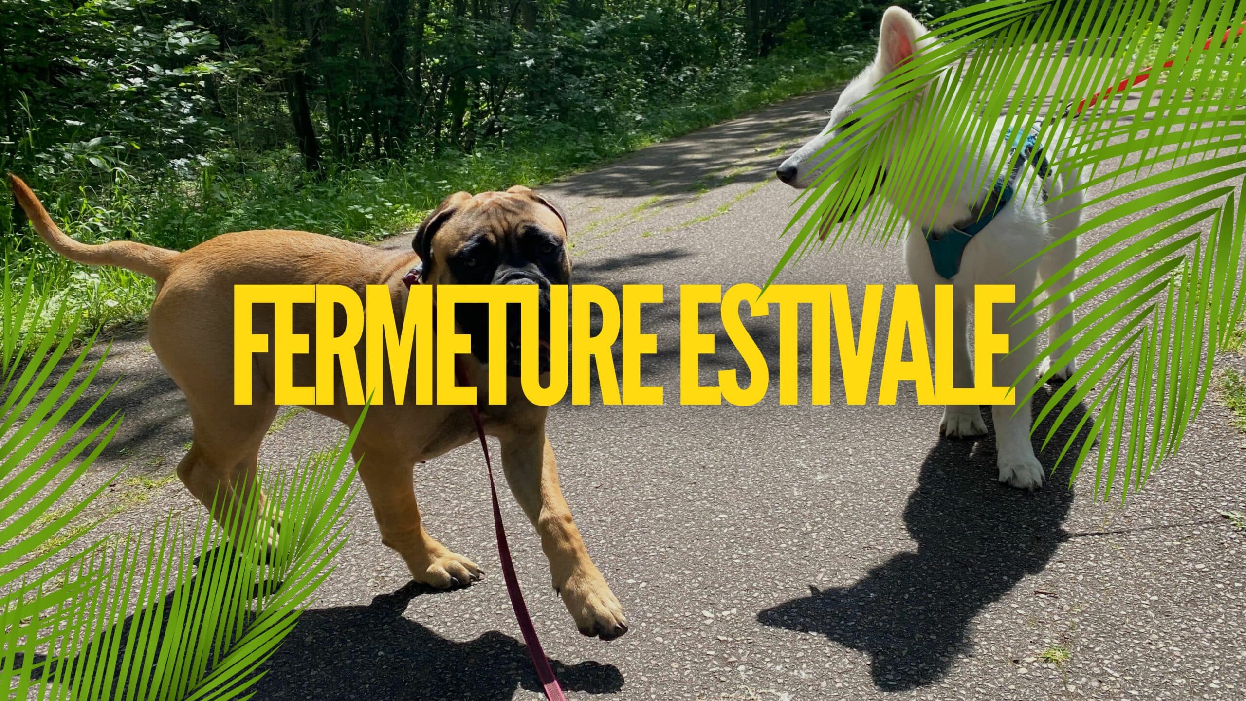 FERMETURE ESTIVALE EDUCHIEN 2024