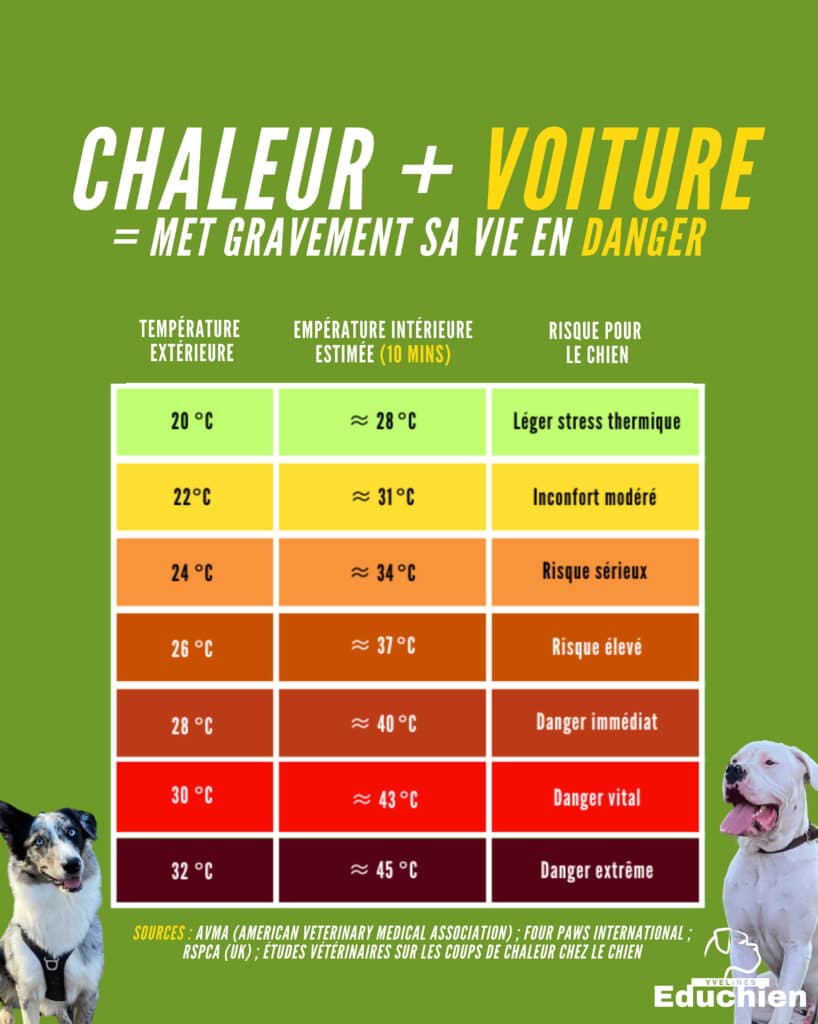 En été, Chaleur + voiture = met gravement sa vie en danger. Prenez soin de vos compagnons à quatre pattes . Vos chiens sont sensibles à la chaleur, surtout dans des milieux clos