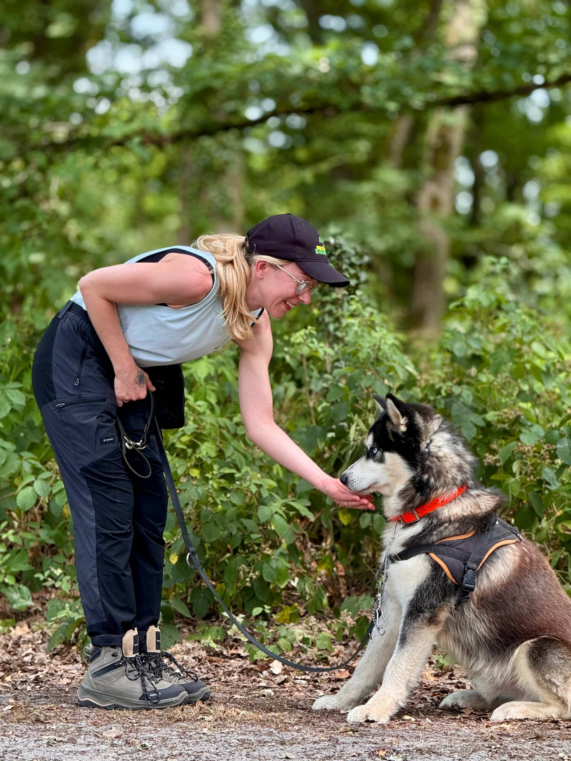 Pratique en refuge, élève de formation professionnelle au métier d'éducateur canin comportementaliste. Une formation D'EDUCHIEN. Pratique avec les chiens de refuge.