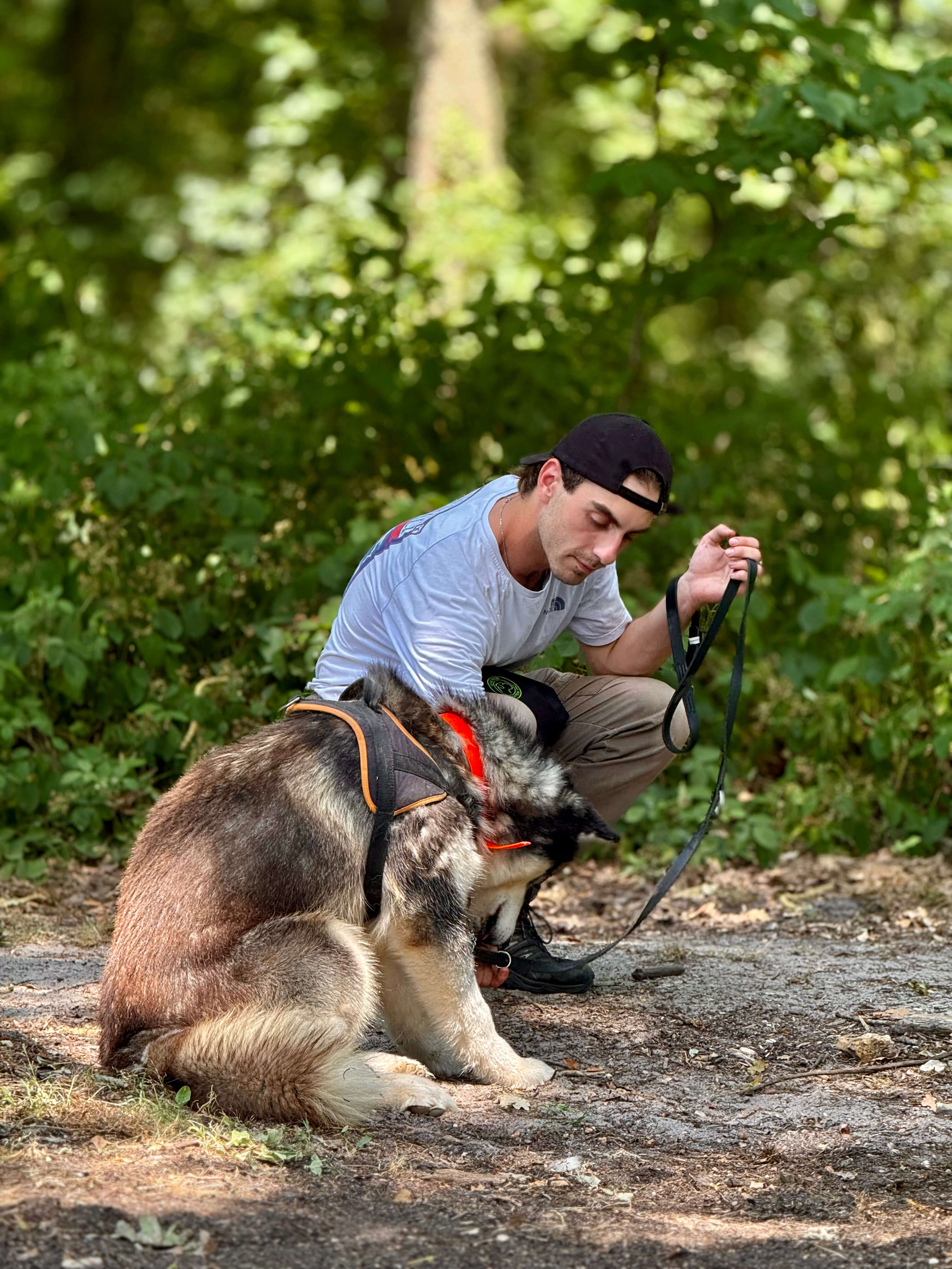 Pratique en refuge, élève de formation professionnelle au métier d'éducateur canin comportementaliste. Une formation D'EDUCHIEN. Pratique avec les chiens de refuge.