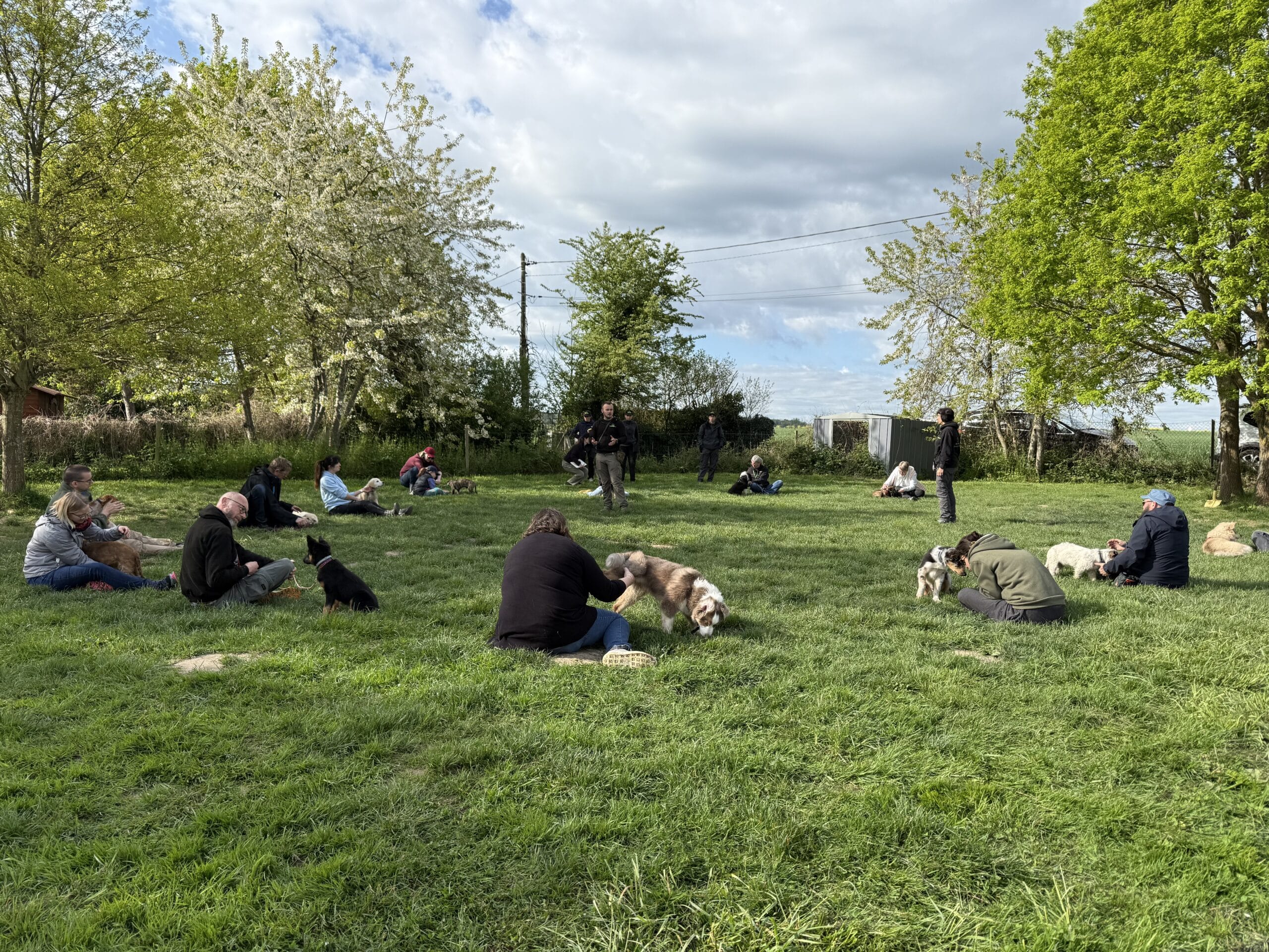 club canin EDUCHIEN - Cours collectifs et encadrement de cours en club pour nos élèves éducateur canin en formation professionnelle